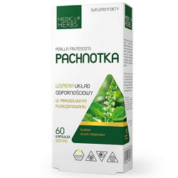 PACHNOTKA 60kaps. MEDICA HERBS wspiera produkcję cytokin