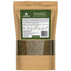 Herbatka Konopna na Odporność 40g HEMP KING Konopie Imbir Kurkuma Moringa Hibiskus