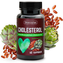 CHOLESTEROL 60 kaps. SKOCZYLAS prawidłowy poziom cholesterolu Karczoch Zwyczajny Czerwony Ryż