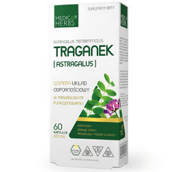 ASTRAGALUS Traganek 60kaps. MEDICA HERBS Odporność Stawy Glukoza Adaptogen