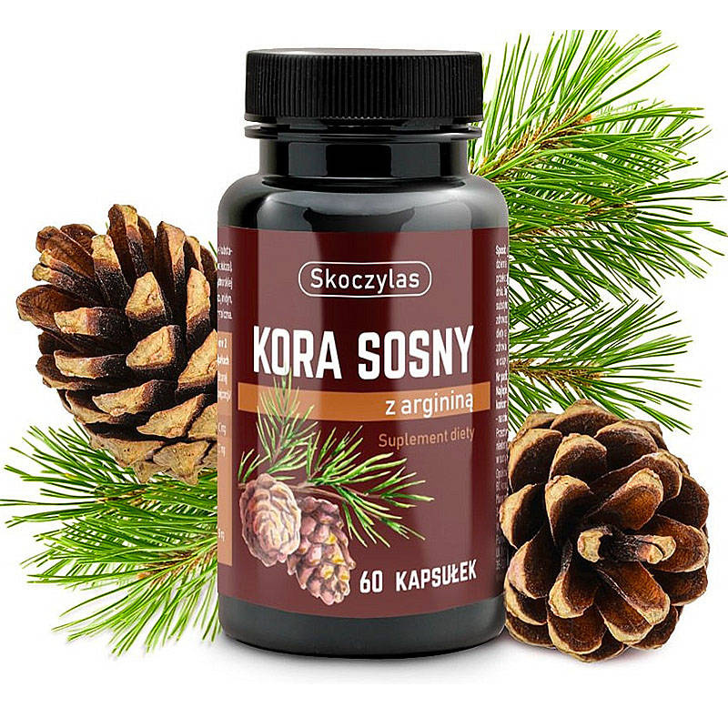 PYCNOGENOL 60 kaps. SKOCZYLAS Arginina Kora sosny nadmorskiej SUPLEMENTY \ Antyoksydanty