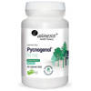 Pycnogenol extract 65% 50 mg ALINESS 60tab. Ekstrakt z kory francuskiej sosny nadmorskiej KORA SOSNY